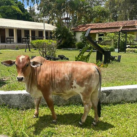 Hotel Fazenda Ceu Aberto Гравата Екстериор снимка